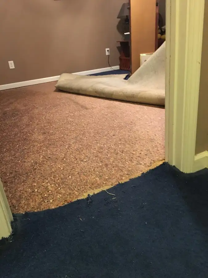 Carpet pad removal revealing water damage during Drying & Dehumidification in Havelock
