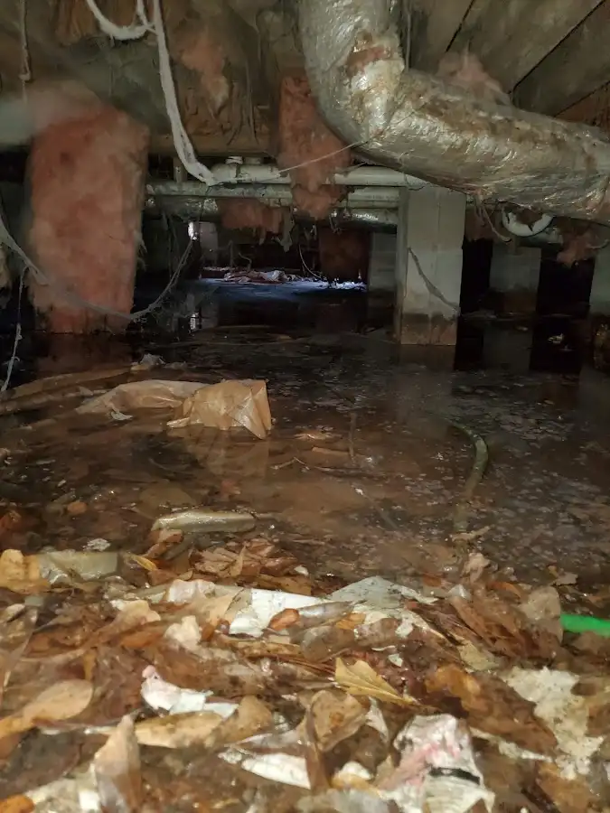 Crawl space flood assessment for Leak Detection & Repair in Havelock