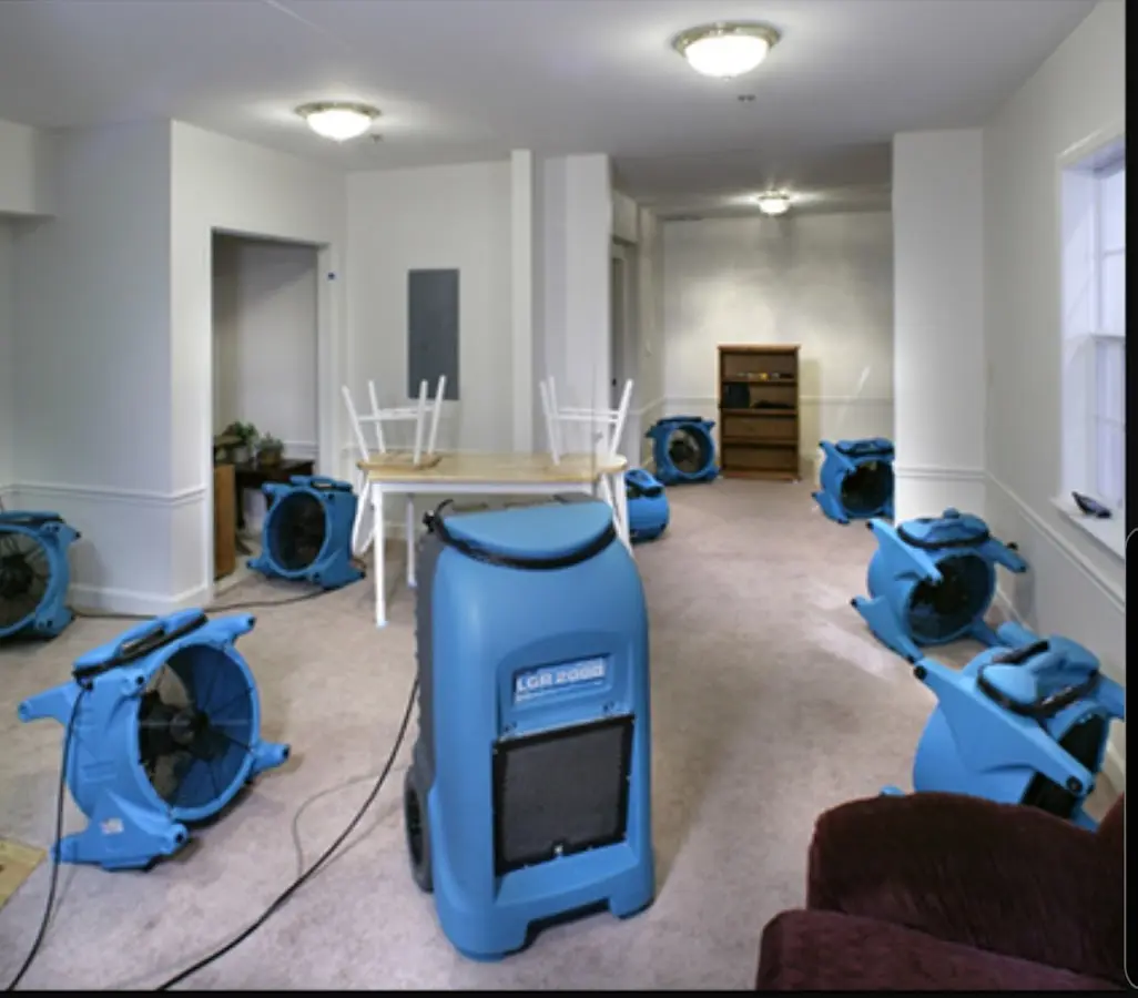 Air movers and dehumidifier setup for Water Extraction & Removal in Havelock