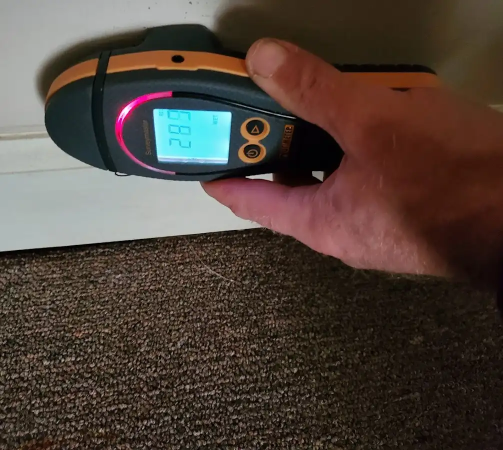 Moisture detection at baseboard during Sewage Cleanup & Sanitation in Havelock